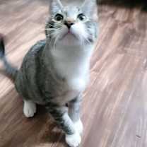 Thumbnail photo of Sprout #4