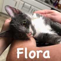 Thumbnail photo of Flora #1