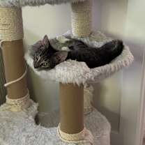 Thumbnail photo of Pixel #4