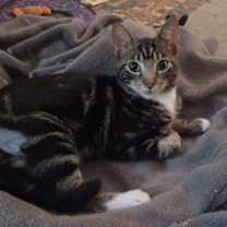 Thumbnail photo of Mellow #2