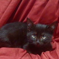 Thumbnail photo of Carlos #1