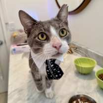 Thumbnail photo of Stumpy #2