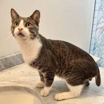 Thumbnail photo of Stumpy #3