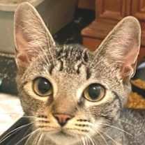 Thumbnail photo of Kimmie #1