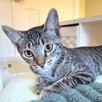 Thumbnail photo of Kimmie #2