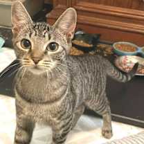 Thumbnail photo of Kimmie #4