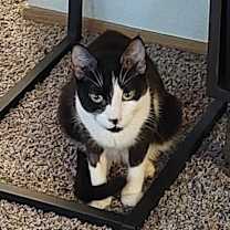 Thumbnail photo of Flora #3