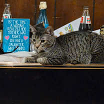 Thumbnail photo of Lilo #2