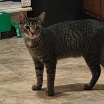 Thumbnail photo of Lilo #1