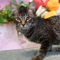 Thumbnail photo of Krista #3