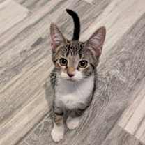 Thumbnail photo of Zoey #1