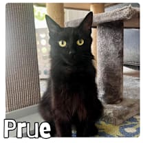 Thumbnail photo of Prue (Proofing Drawer) #2