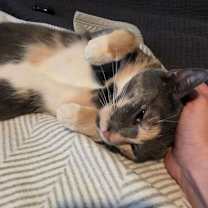 Thumbnail photo of Wendy #4