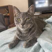 Thumbnail photo of Happy #2