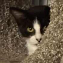 Thumbnail photo of Harriet #2