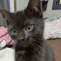 Thumbnail photo of (dt) Wednesday #1