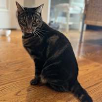 Thumbnail photo of Kiki #2