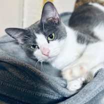 Thumbnail photo of Jada #2