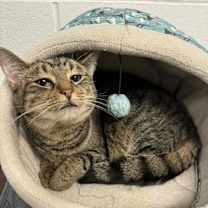 Thumbnail photo of Sue #4