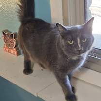 Thumbnail photo of Delilah #1