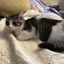 Thumbnail photo of Mimi #4