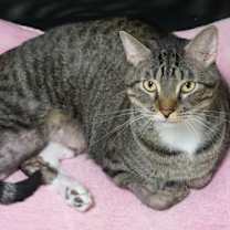 Thumbnail photo of Gabriel Maverick #2