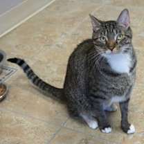 Thumbnail photo of Gabriel Maverick #3