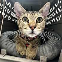 Thumbnail photo of Xavier #2