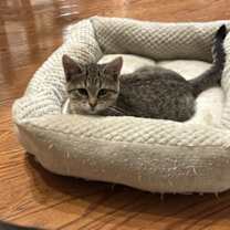 Thumbnail photo of Julia Roberts #3