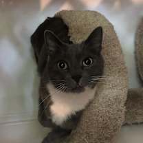 Thumbnail photo of Luke #4