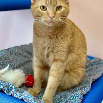 Thumbnail photo of Isobel #1