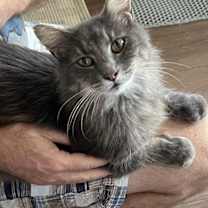 Thumbnail photo of Smurfette #1