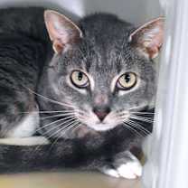 Thumbnail photo of Stormy #1