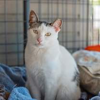 Thumbnail photo of Penelope #1