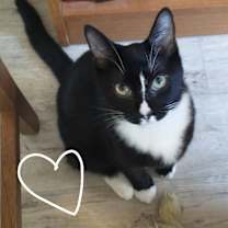 Thumbnail photo of Boots 2 #1