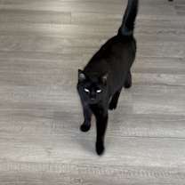 Thumbnail photo of Tifa #3