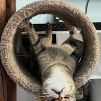 Thumbnail photo of Wesley #3