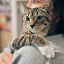 Thumbnail photo of Alphonse #3