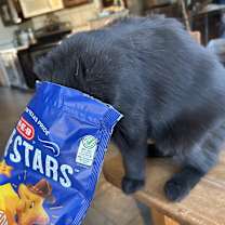 Thumbnail photo of Hockney NN #2