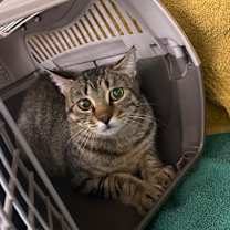 Thumbnail photo of Owala -Tiffany's Legacy #2