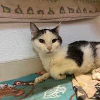 Thumbnail photo of June #2