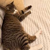 Thumbnail photo of Travis #3