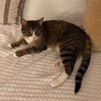 Thumbnail photo of Travis #4