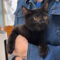 Thumbnail photo of Samuel #1