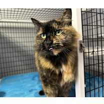 Thumbnail photo of Florance #2