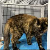 Thumbnail photo of Florance #3