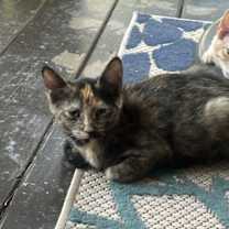 Thumbnail photo of Fiona #1