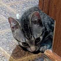 Thumbnail photo of Terry #1