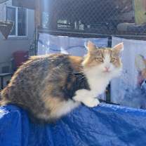 Thumbnail photo of Pia #3