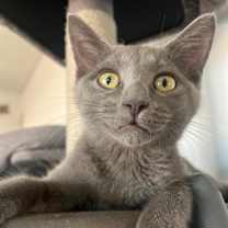 Thumbnail photo of Tulum #1